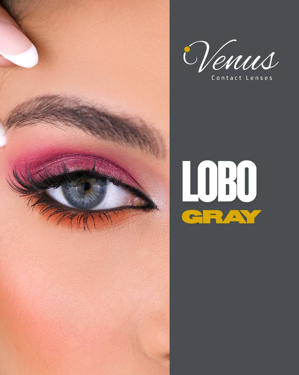 Venus Lobo Gray Color Contact Lenses – Elegant Gray Eye Look