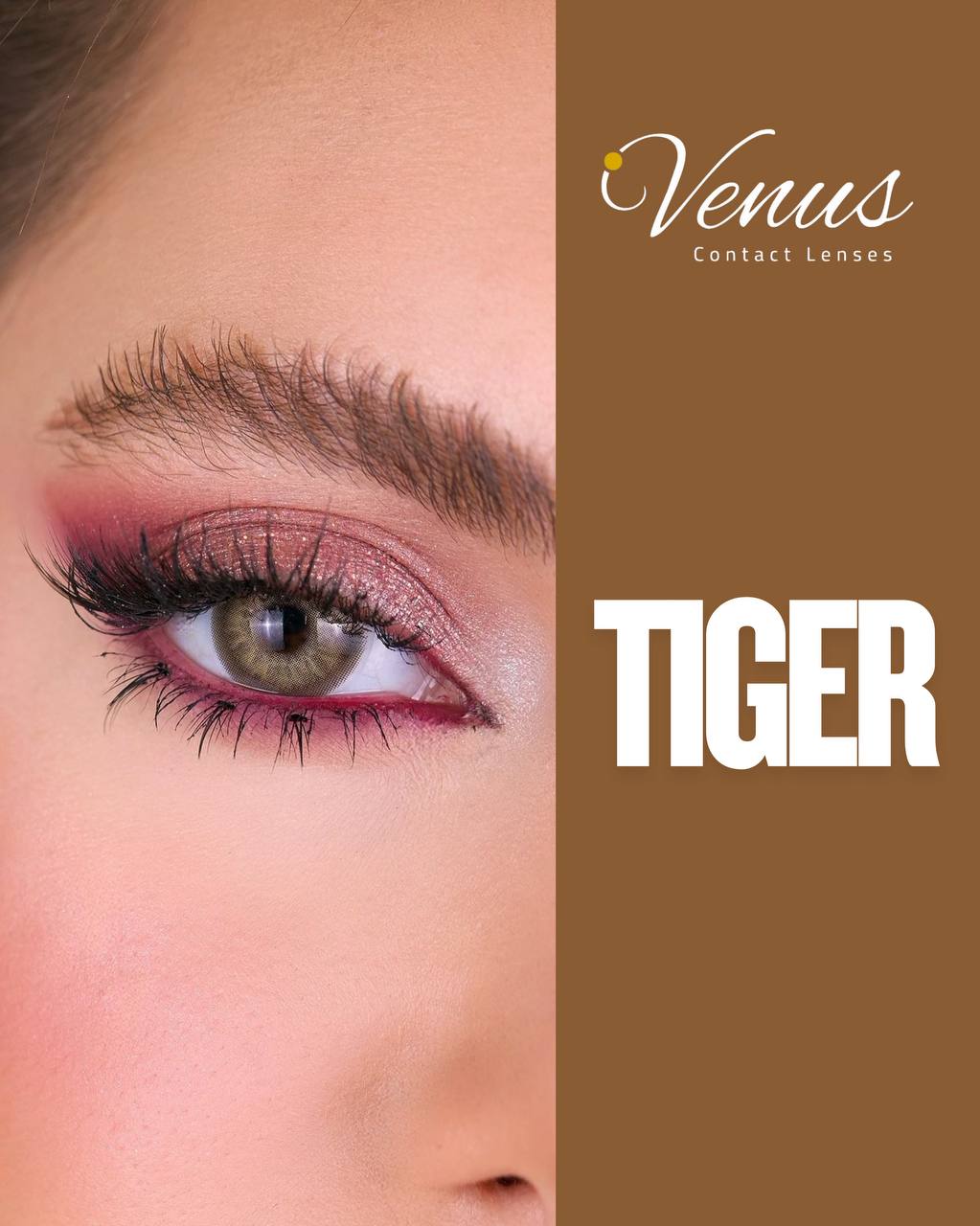 Close-up of Tiger Contact Lenses by Venus